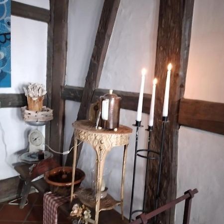 Historische Raume Uber Mittelaltergewolbe Mit Terrasse Apartamento Erfurt Exterior foto